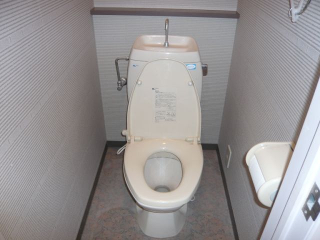 Toilet. Washlet will put you have with power.