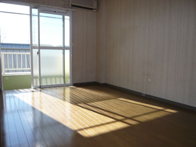 Living and room. Bright rooms because the light of day is pointing to the back of the room