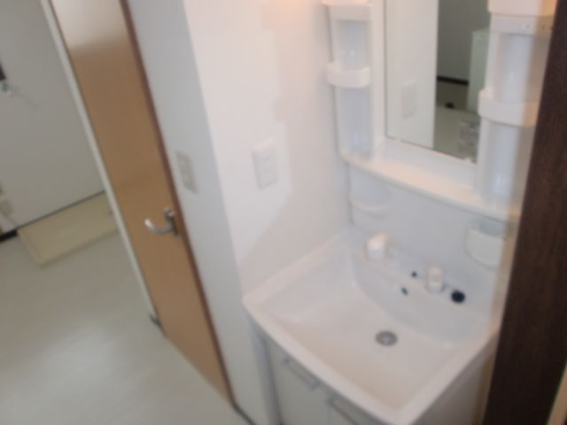 Washroom. Busy morning to happy with shampoo dresser. 