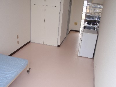 Living and room. Bright living room