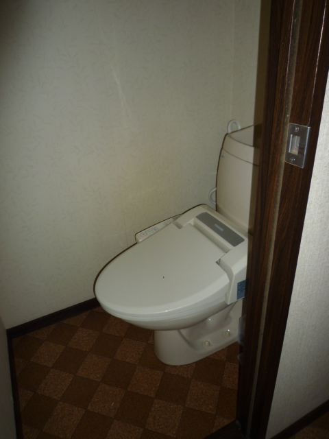 Toilet. Warm water washing toilet seat