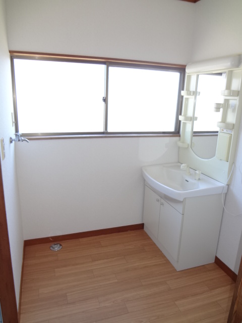 Washroom. Shampoo with Dresser