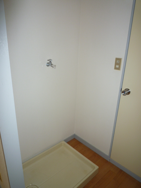 Other. There Laundry Area.