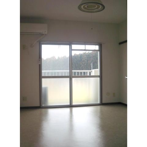 Living and room. Facing south in a bright living room