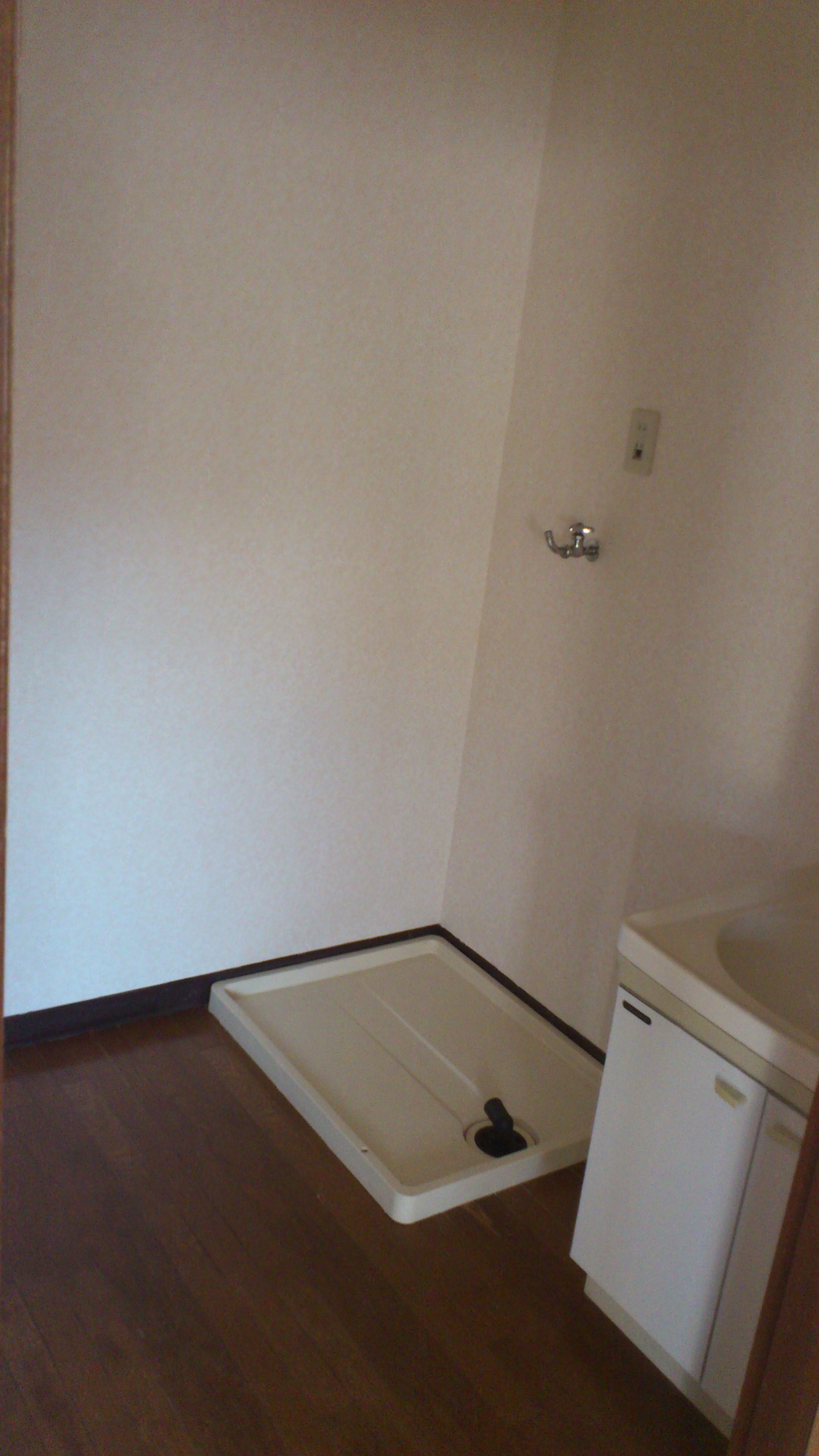 Washroom. Laundry Area