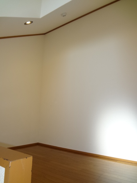 Other room space. Loft is the part. Raise