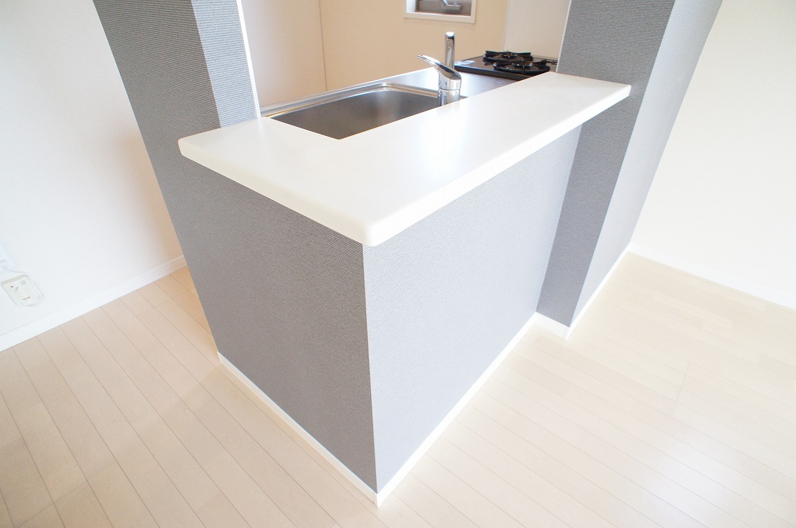 Kitchen. Pat state of living in the face-to-face kitchen!