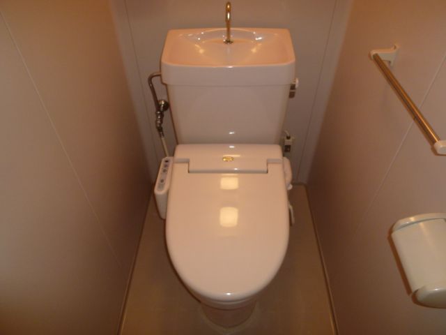 Toilet. Toilet a shower.