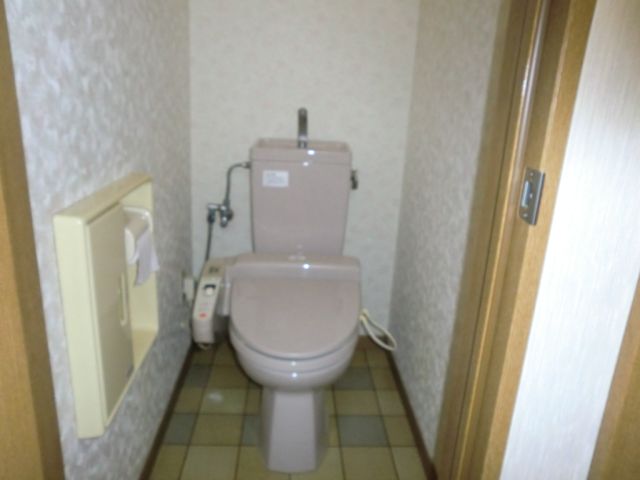 Toilet. Washlet comes.