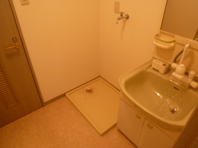 Washroom. There is storage room washing machine! 