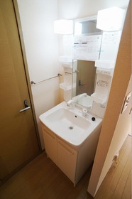 Washroom. Shampoo dresser