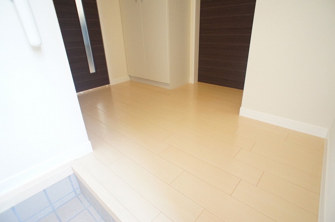 Entrance. Corridor part with for the spread.