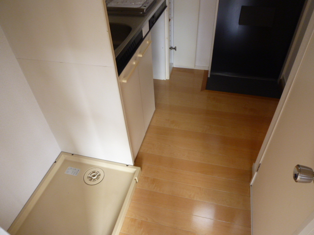 Other room space. Washing machine in the room