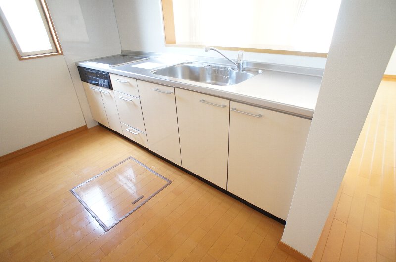 Kitchen. Sink also spacious, Want to system Kitchen Cooking with IH!