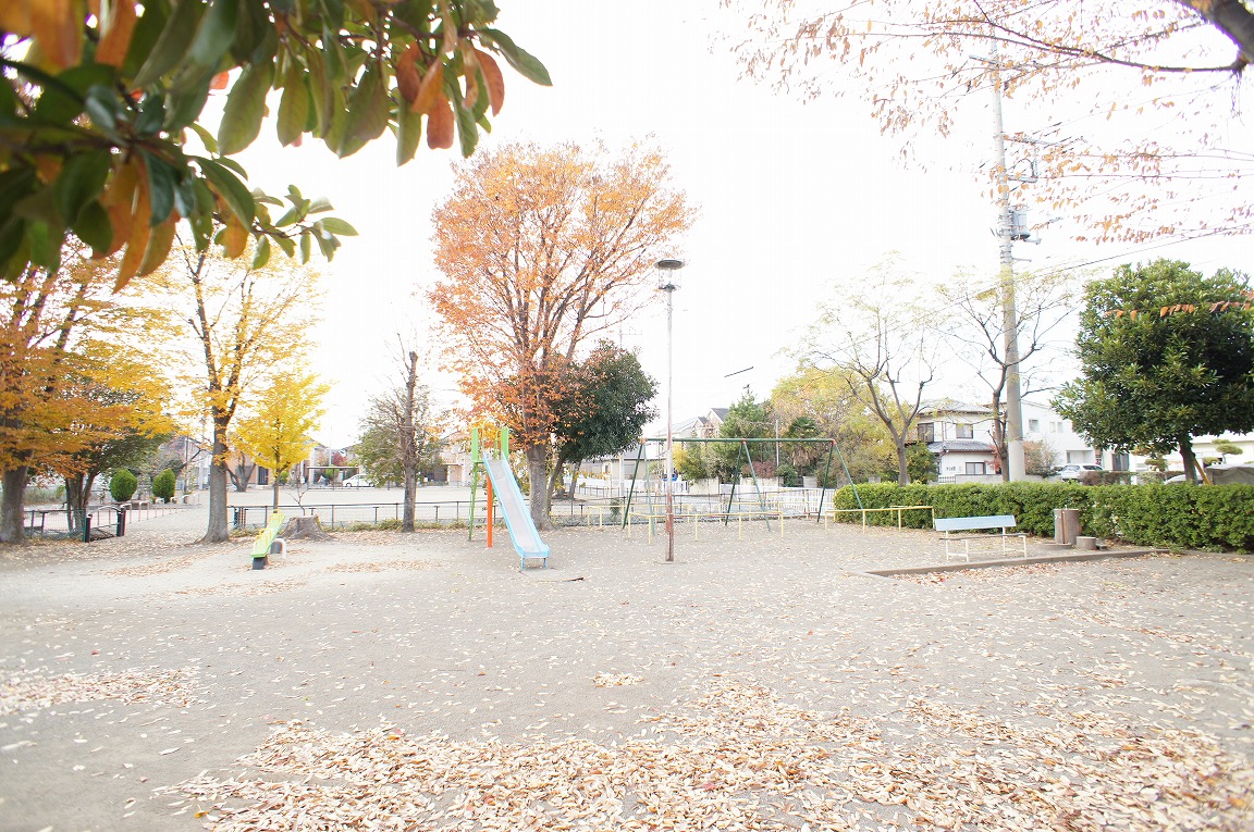 Other. It is a neighborhood park. There is also a playground equipment! 