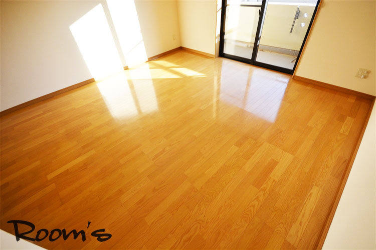 Kitchen. South-facing living room.