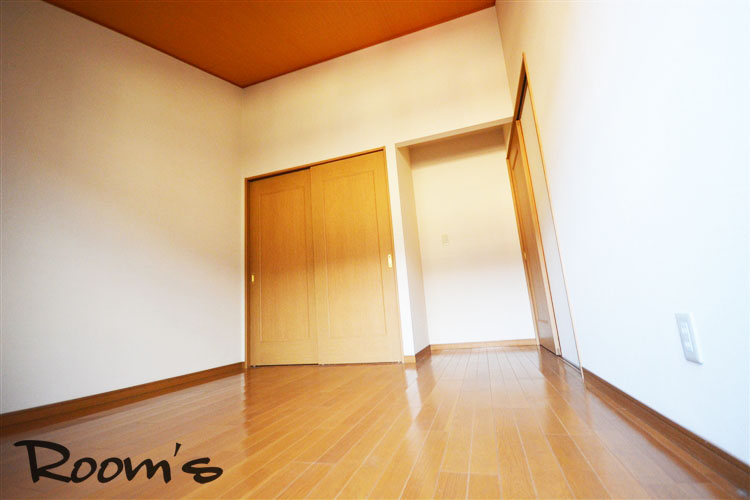 Living and room. North Western-style.