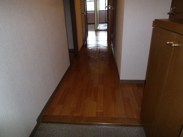 Entrance. Is the entrance that has the shoe case with a capacity.