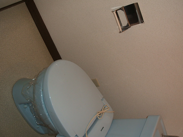 Toilet. Clean wash ass!