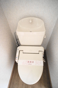 Toilet. It comes with a bidet