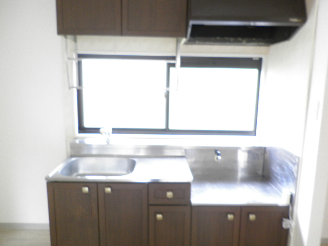 Other. Ventilation pat there is a window in the kitchen!