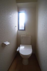 Toilet. Bidet was established