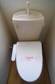 Toilet. Bidet was established