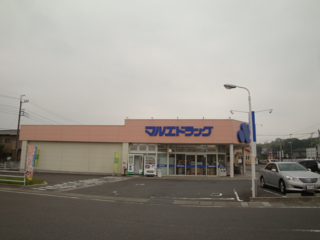 Dorakkusutoa. Marue drag Takasaki Terao shop 796m until (drugstore)