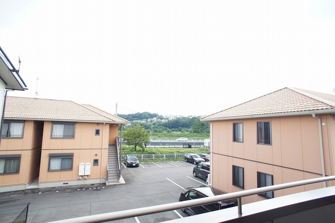 View. Fireworks fun!