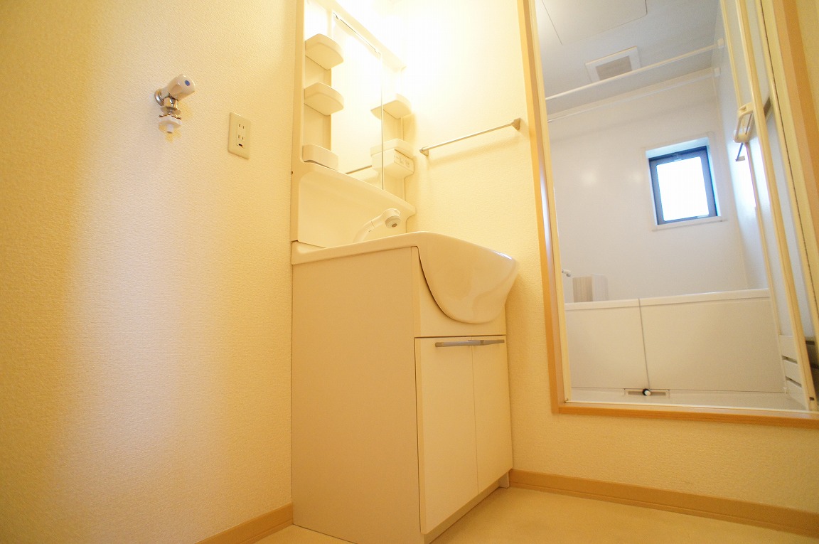 Washroom. Shampoo dresser type.