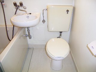 Toilet. Cleanliness of mediation toilet!