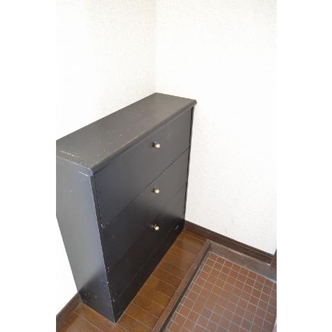 Receipt. With a shoe box!