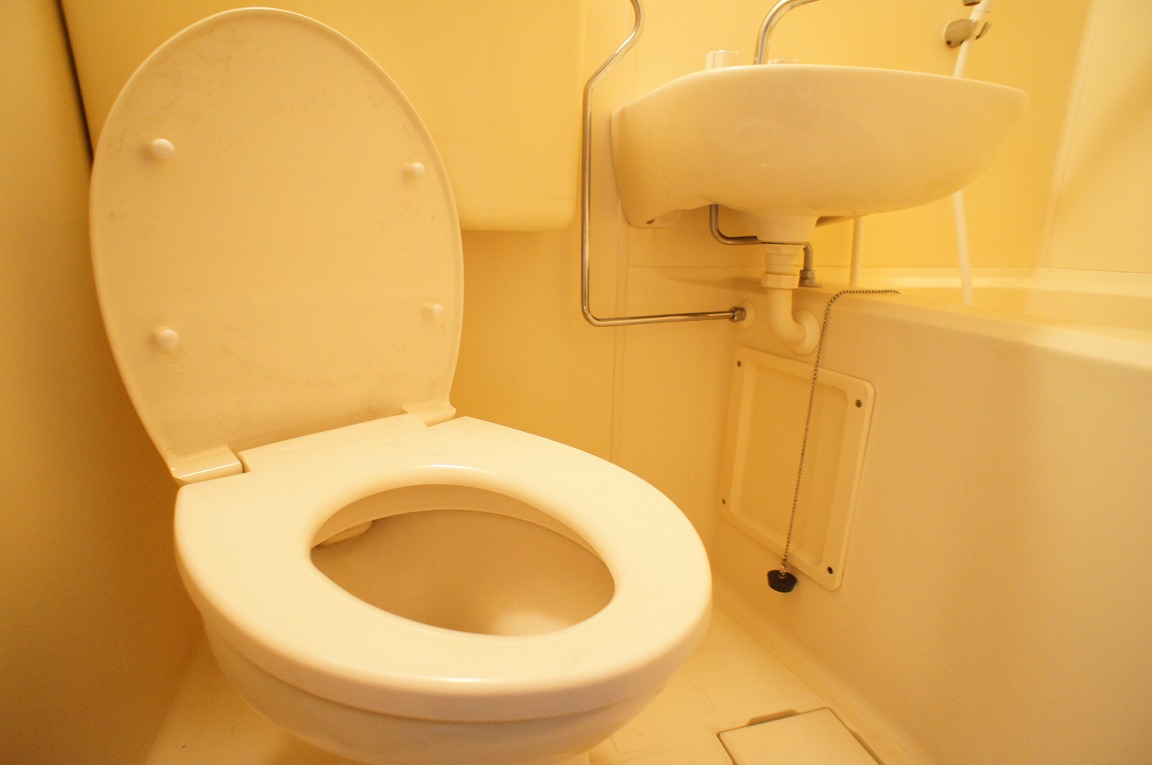 Toilet. It is a functional design.