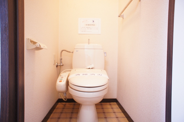 Toilet. Washlet toilet