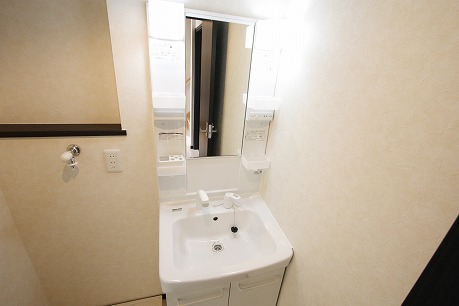 Washroom. Shampoo wash basin.