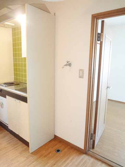 Other. Washing machine in the room! 