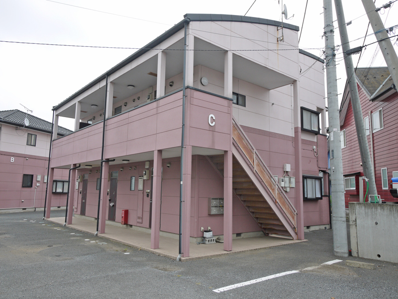 Building appearance. Pink 2 appearance of tone color