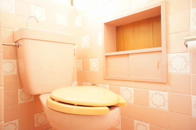 Toilet. First floor toilet