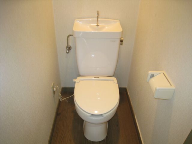 Toilet. It comes with popular warm toilet. 