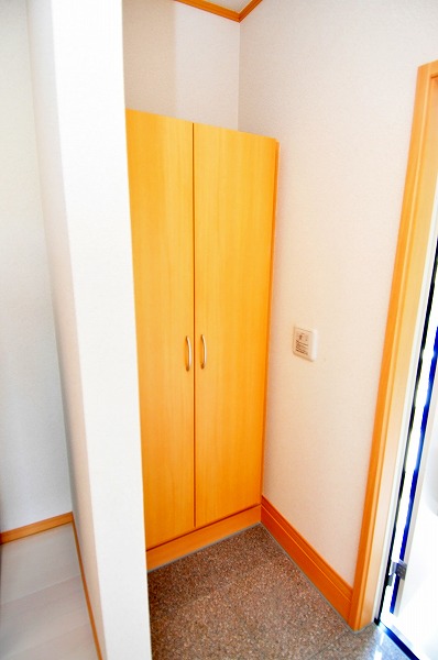 Entrance. You can store plenty in big shoe BOX.