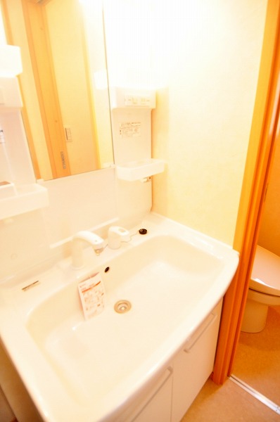 Washroom. Basin is a vanity with a large shower.