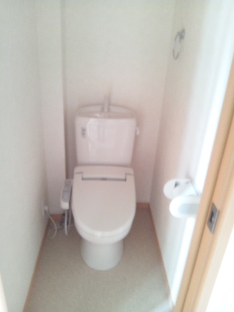 Toilet. Of course, it is separate from the bathroom.