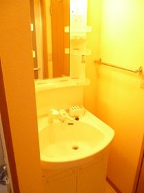 Washroom. Shampoo wash basin