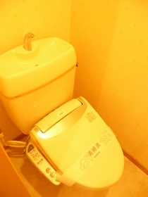 Toilet. Warm water washing toilet seat