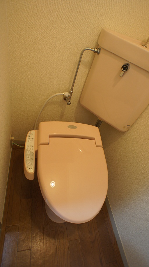 Toilet. Warm water washing toilet seat