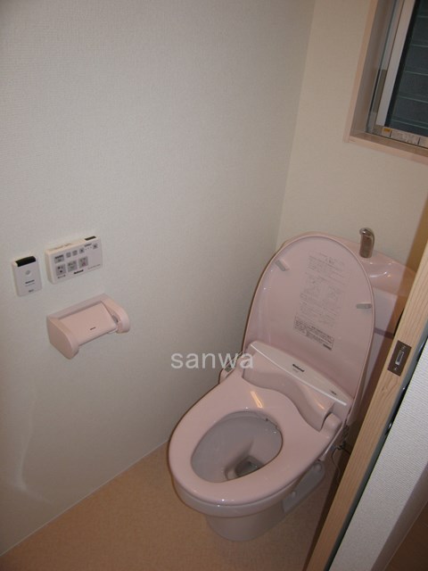 Toilet. Cleaning toilet seat 2008 shooting