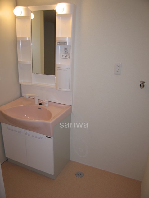 Washroom. Shampoo wash basin 2008 shooting