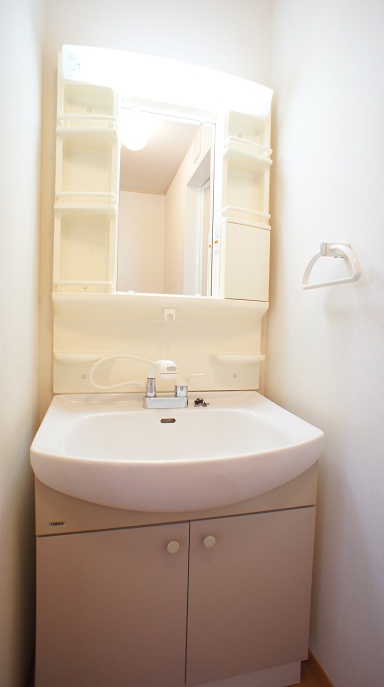 Washroom. Shampoo wash basin