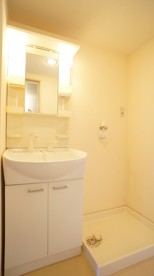 Washroom. Shampoo wash basin! ! 