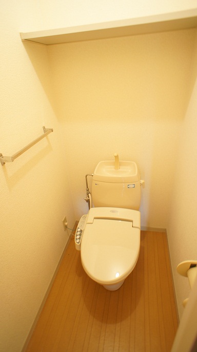 Toilet. Warm water washing toilet seat